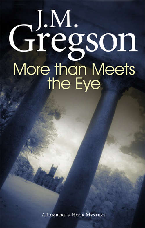 Book cover of More than Meets the Eye (The Lambert and Hook Mysteries #25)