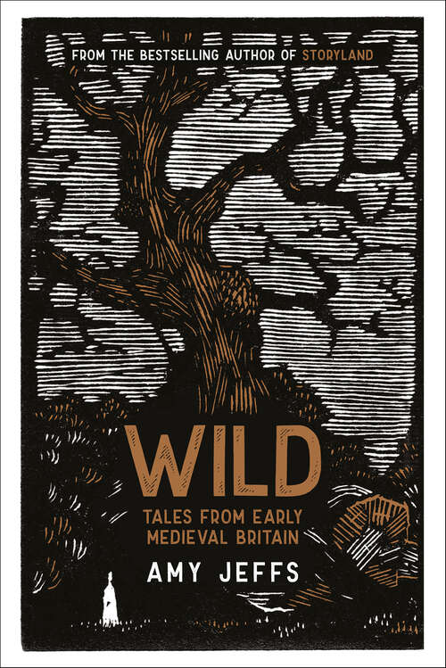 Book cover of Wild: Tales from Early Medieval Britain