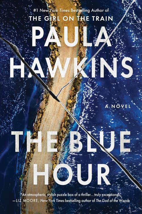 Book cover of The Blue Hour: A Novel