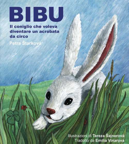 Book cover of Bibu: Il coniglio che voleva diventare un acrobata da circo