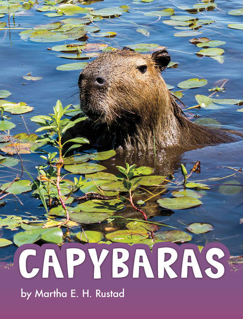 Book cover of Capybaras (Animals)