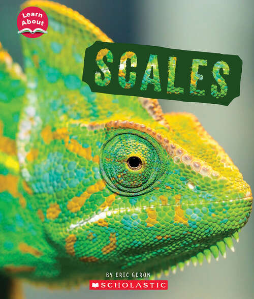 Book cover of Scales (Learn About)