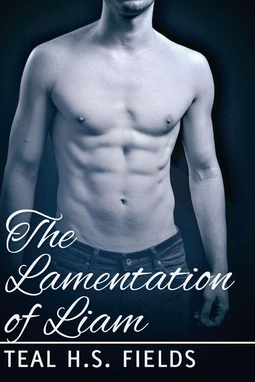 Book cover of The Lamentation of Liam