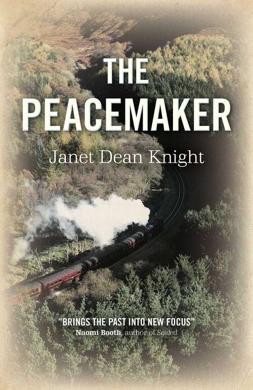 Book cover of The Peacemaker: A Novel