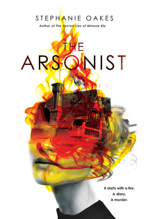 Book cover of The Arsonist