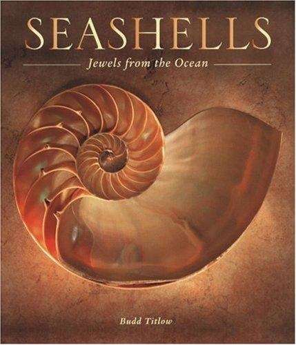 Book cover of Seashells: Jewels from the Ocean