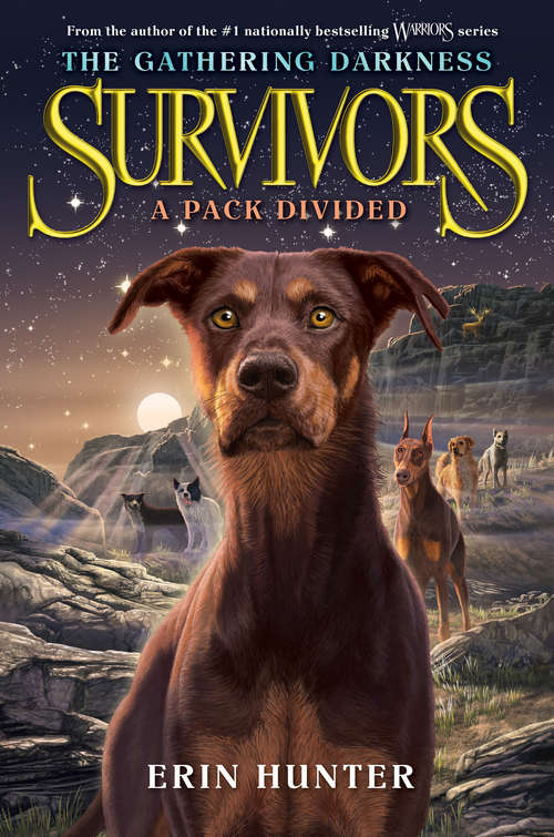 Book cover of A Pack Divided (Survivors: The Gathering Darkness #1)