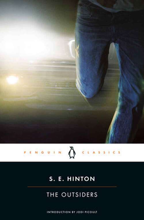 Book cover of The Outsiders