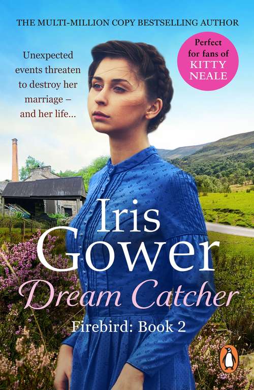 Book cover of Dream Catcher: (Firebird:2) A dramatic and heart-wrenching romantic Welsh saga that will have you gripped