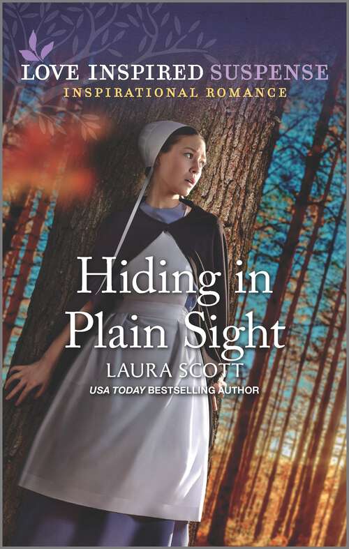 Book cover of Hiding in Plain Sight (Original)