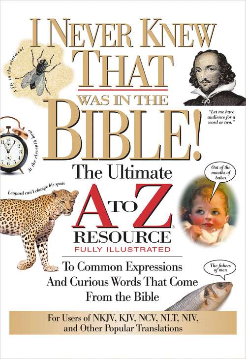 Book cover of I Never Knew That Was in the Bible (A to Z Series)