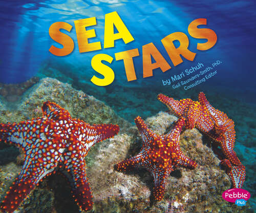 Book cover of Sea Stars (Spot Ocean Animals Ser.)