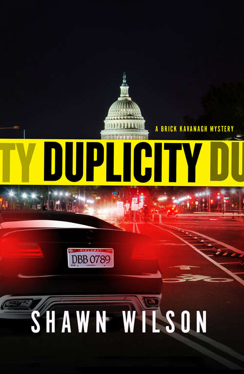 Book cover of Duplicity (A Brick Kavanagh Mystery #2)