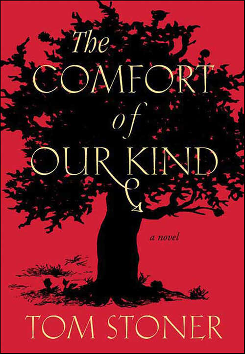 Book cover of The Comfort of Our Kind: A Novel
