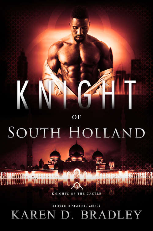 Book cover of Knight of South Holland (Knights of the Castle #3)