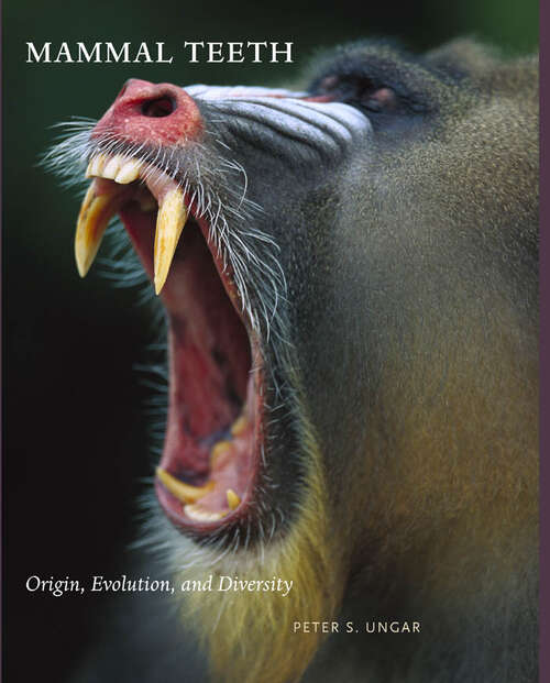 Mammal Teeth: Origin, Evolution, and Diversity
