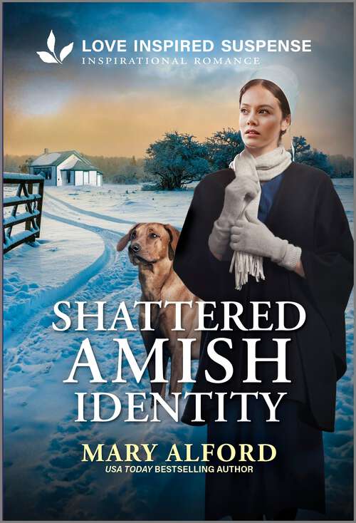Book cover of Shattered Amish Identity (Original)