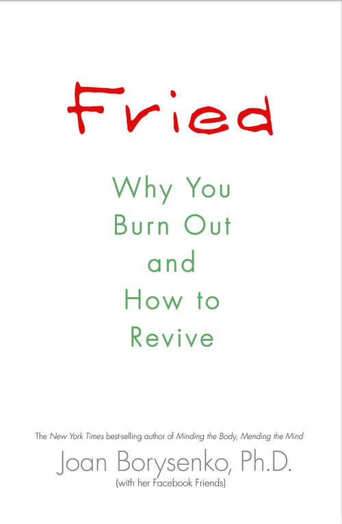 Fried: Why You Burn Out And How To Revive