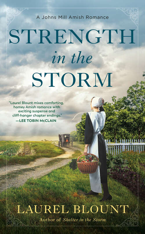Strength in the Storm (A Johns Mill Amish Romance #2)