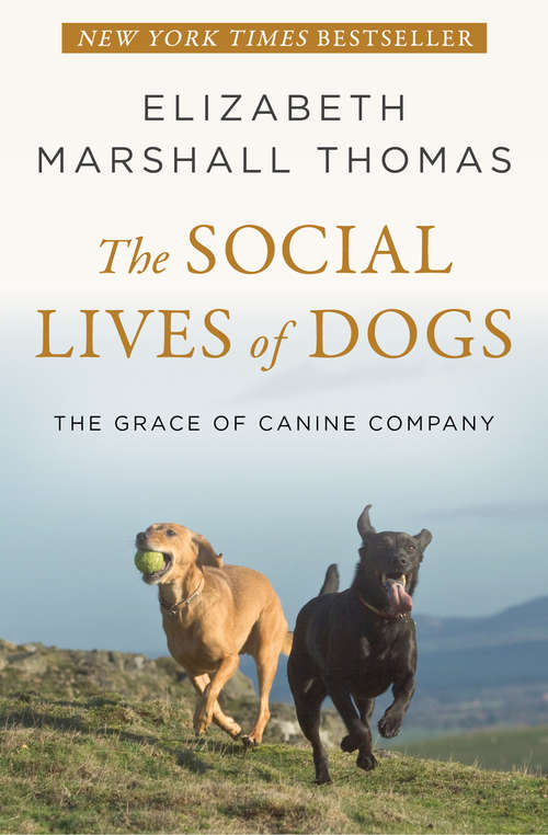 The Social Lives of Dogs: The Grace of Canine Company (G. K. Hall Nonfiction Ser.)