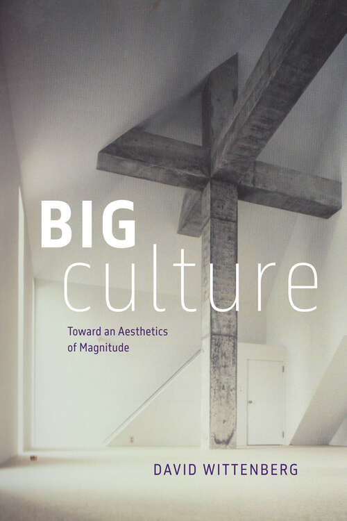 Book cover of Big Culture: Toward an Aesthetics of Magnitude
