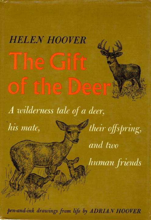 Book cover of GIFT OF DEER