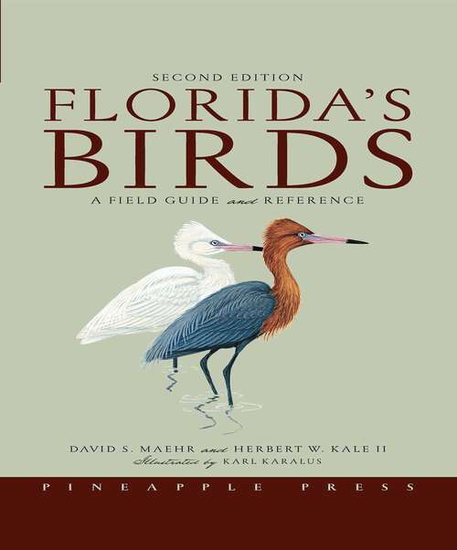 Book cover of Florida's Birds: A Field Guide and Reference (2nd Edition)