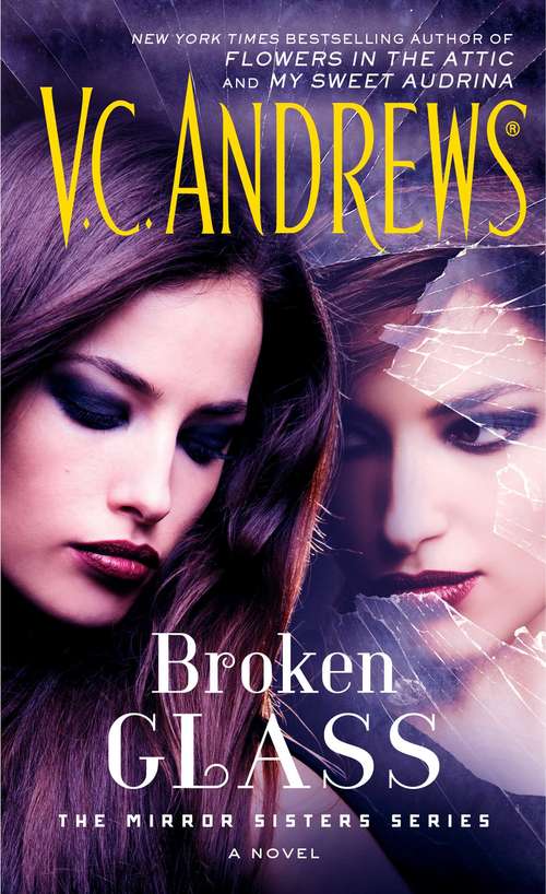 Book cover of Broken Glass (The Mirror Sisters Series #2)