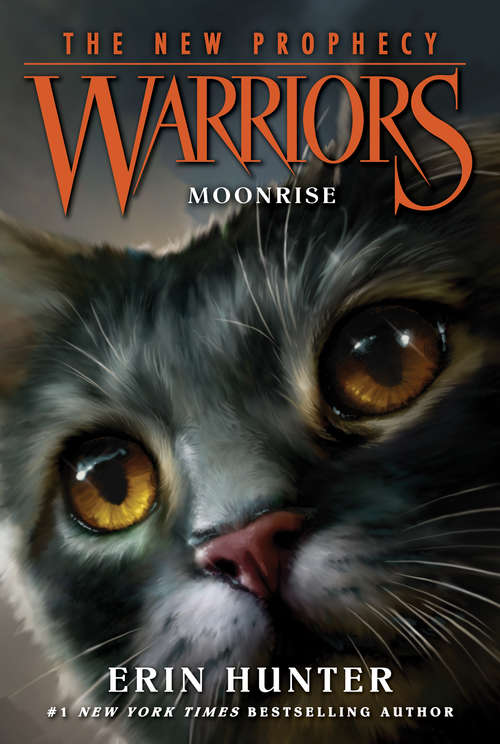 Book cover of Moonrise (Warriors: The New Prophecy #2)