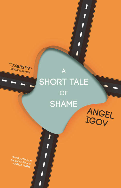 Book cover of A Short Tale of Shame
