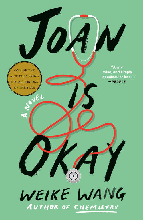 Book cover of Joan Is Okay: A Novel