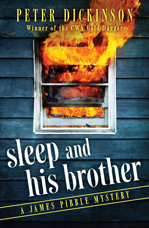 Book cover of Sleep and His Brother