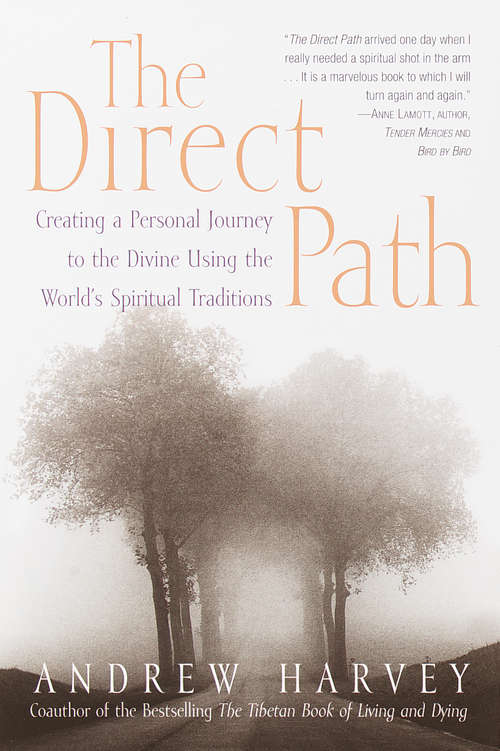 Book cover of The Direct Path