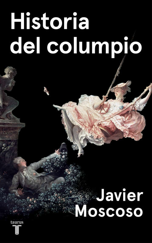 Book cover of Historia del columpio