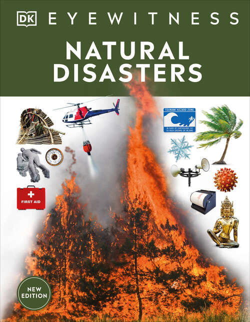Book cover of Natural Disasters (DK Eyewitness)