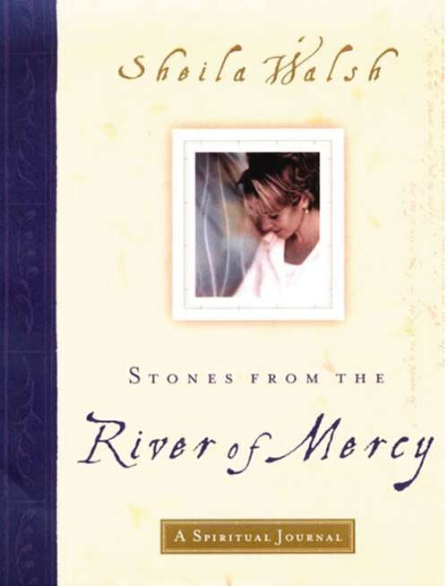 Book cover of Stones from the River of Mercy