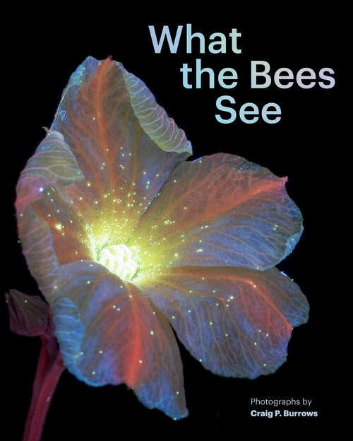 Book cover of What the Bees See