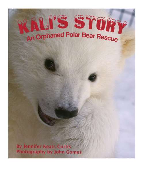 Book cover of Kali's Story: An Orphaned Polar Bear Rescue (Into Reading, Read Aloud Module 9 #2)