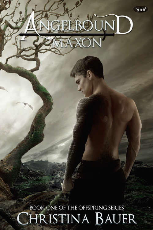 Book cover of Maxon: Angelbound 4 (Angelbound Offspring #1)