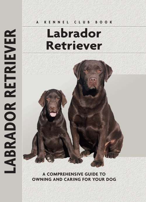 Book cover of Labrador Retriever