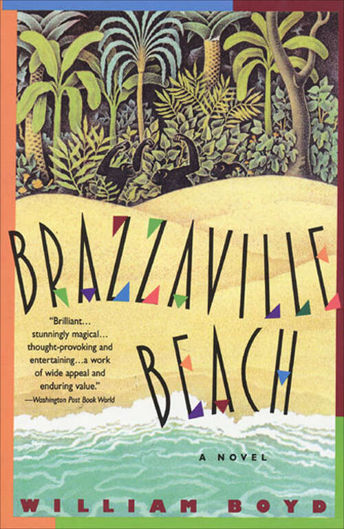 Book cover of Brazzaville Beach