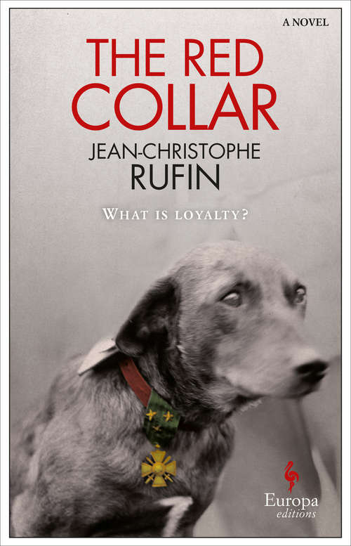 Book cover of The Red Collar