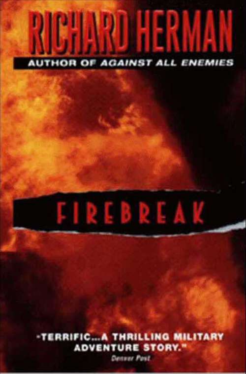 Book cover of Firebreak