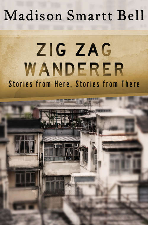 Book cover of Zig Zag Wanderer
