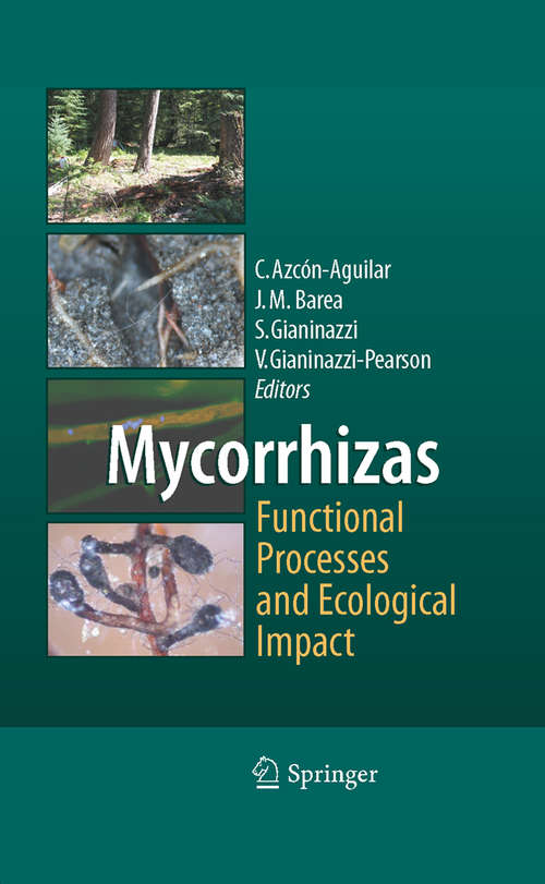 Book cover of Mycorrhizas - Functional Processes and Ecological Impact