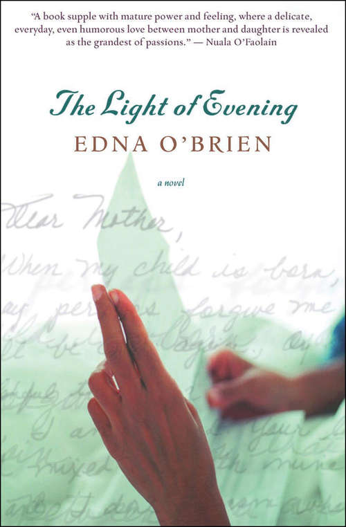 Book cover of The Light of Evening