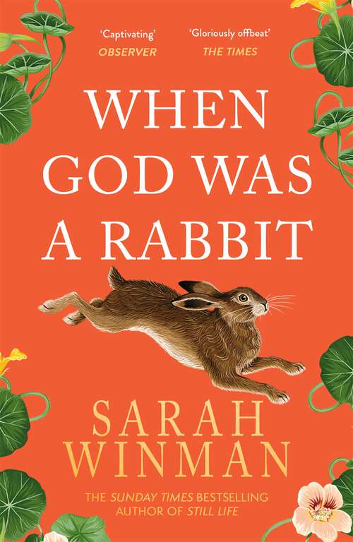 Book cover of When God Was a Rabbit