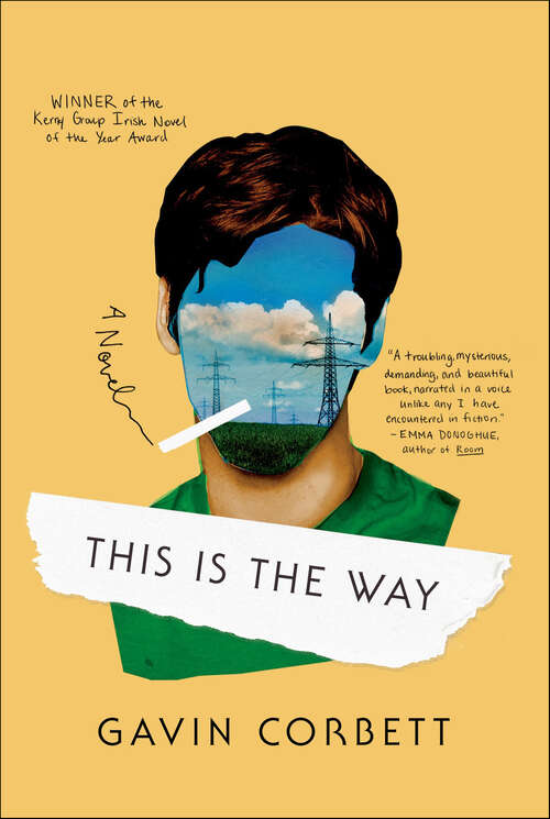 Book cover of This Is the Way: A Novel