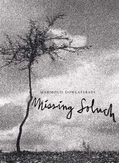 Book cover of Missing Soluch