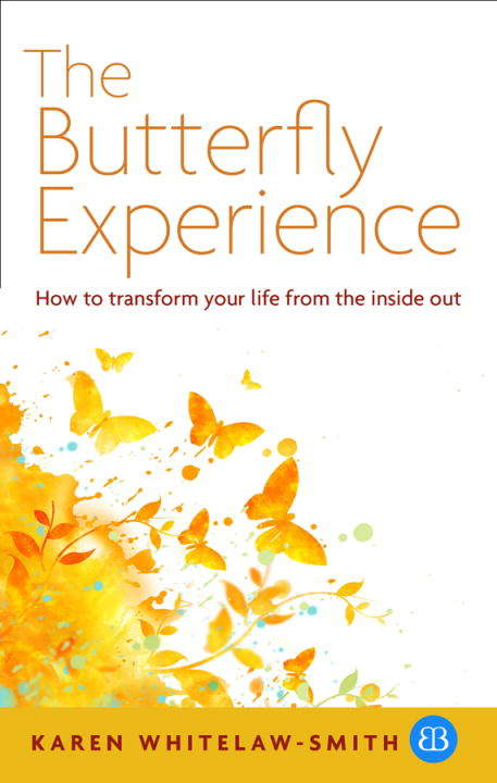 The Butterfly Experience